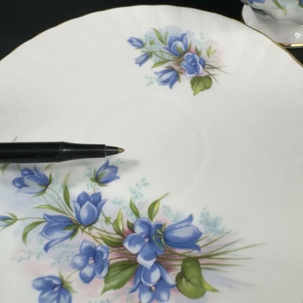 Queens Rosina China Co Blue Flowers‎ Teacup Saucer Set Porcelain Vintage England